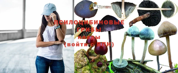спайс Балахна