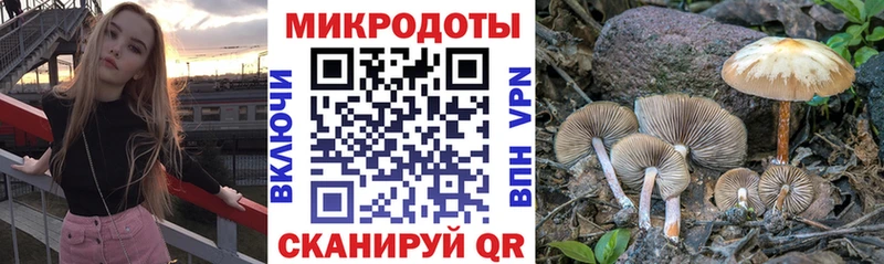 купить закладку  Глазов  Галлюциногенные грибы Cubensis 
